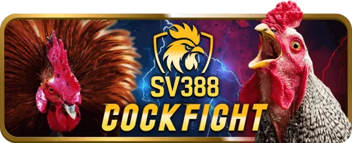 Dịch vụ chăm sóc khách hàng VIP af88 nhà cái